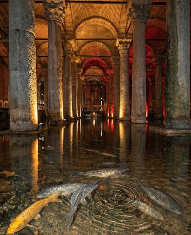 fish in Basilica Cistern