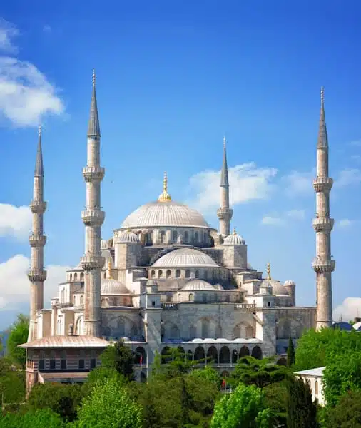 blue mosque tickets ()